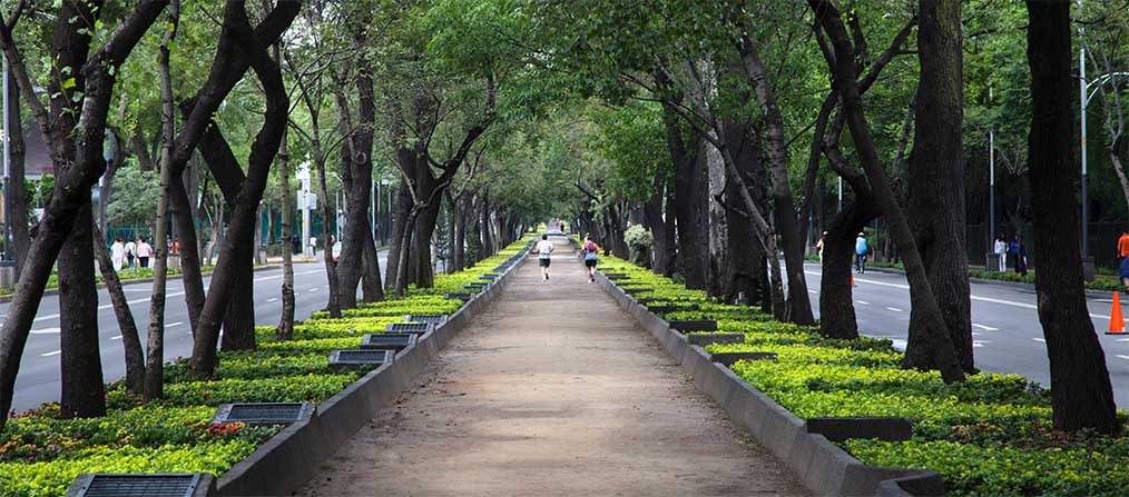 Exteriores del Bosque de Chapultepec, en Ciudad de México