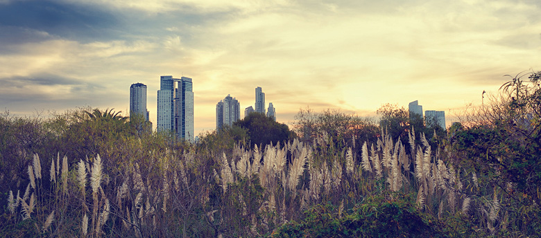 Panorámica de rascacielos entre la vegetación