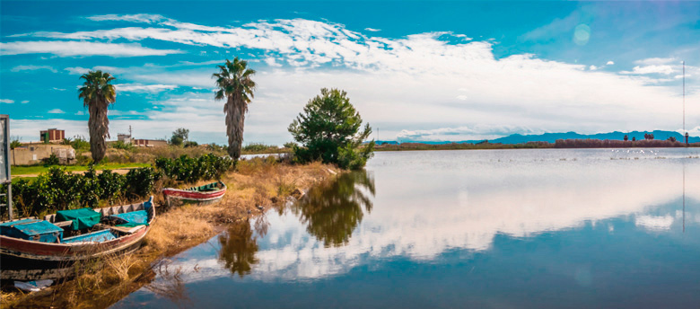 Parque Natural de l'Albufera de València. Imagen cedida por @VisitValencia