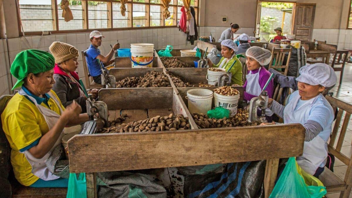 Cómo tu empresa puede medir su huella de carbono